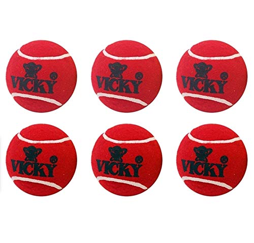 Vicky Heavy Tennis Ball (Pack of 6 * 2box)